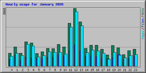 Hourly usage for January 2026