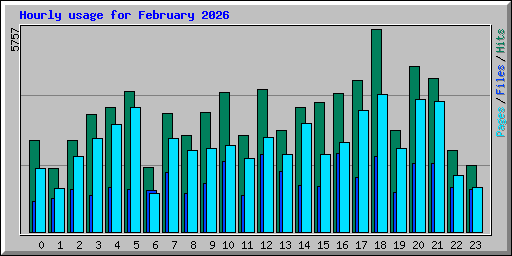 Hourly usage for February 2026