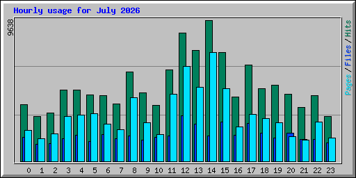 Hourly usage for July 2026